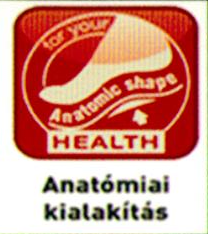 Anatómiai kialakítás Anatómiai kialakítás