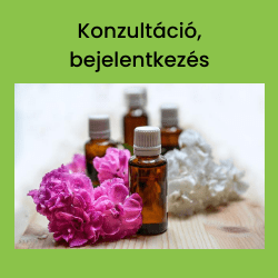 Bach virgterpis online konzultci, 1 alkalom
